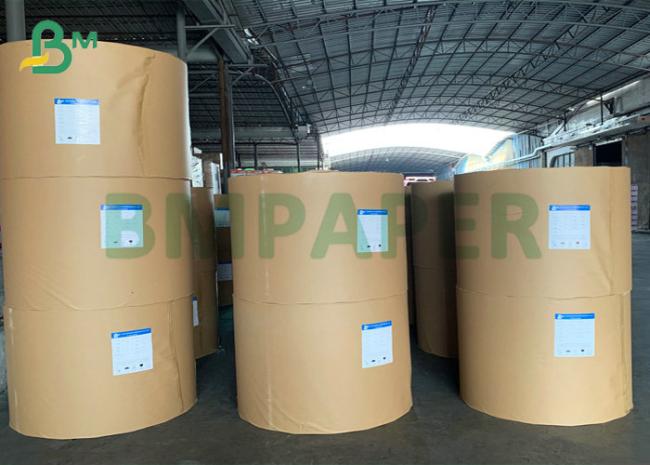 190gsm 210gsm CUPP1S CUPP2S PE Coated Cup Paper For Hot Drink Paper Cup 190gsm 210gsm CUPP1S CUPP2S PE Coated Cup Paper For Hot Drink Paper Cup