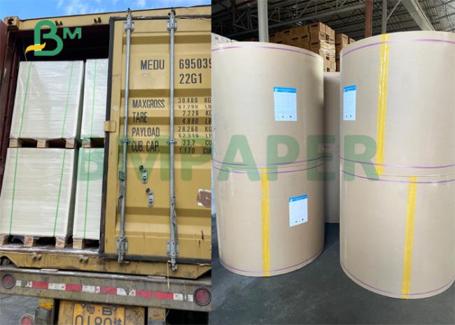 CCUP1S 230gsm + 15g PE Coated Paper For Cold Drinks Cup 880mm 900mm CUPP1S 230gsm + 15g PE Coated Paper For Cold Drinks Cup 880mm 900mm