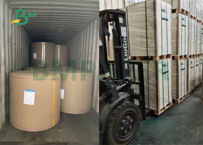 75gsm 80gsm 90gsm Natural White Kraft Paper For Food Paper Bag 65 x 100cm 75gsm 80gsm 90gsm Natural White Kraft Paper For Food Paper Bag 65 x 100cm