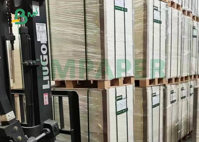 40 micron 120gsm Food Grade White Kraft Paper For Cone Cup 70mm 85mm 40 micron 120gsm Food Grade White Kraft Paper For Cone Cup 70mm 85mm