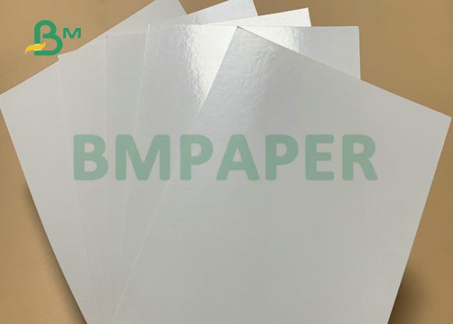 PE Coated Paper For Paper Plates 300gsm +18g PE In Roll PE Coated Paper For Paper Plates 300gsm +18g PE In Roll