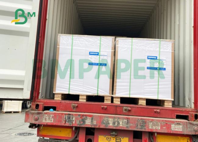 250gsm 300gsm C2S Art Board For Brochure Cover 72 x 95cm Uniform Surface 250gsm 300gsm C2S Art Board For Brochure Cover 72 x 95cm Uniform Surface