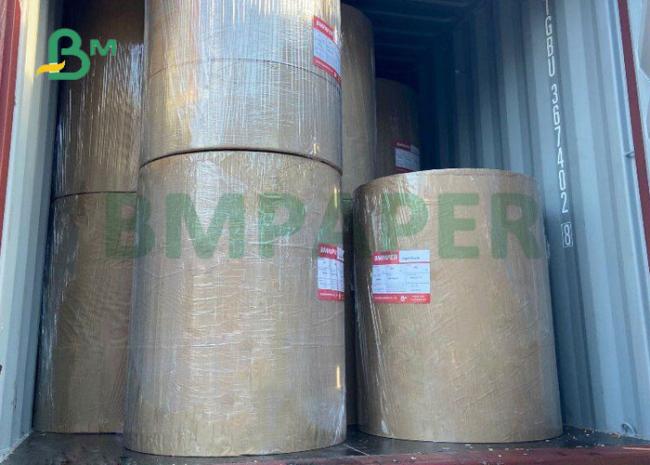190 - 210 gsm 2 Layers PE Coated Kraft Paper To Make Drinking Cup 1200mm 190 - 210 gsm 2 Layers PE Coated Kraft Paper To Make Drinking Cup 1200mm