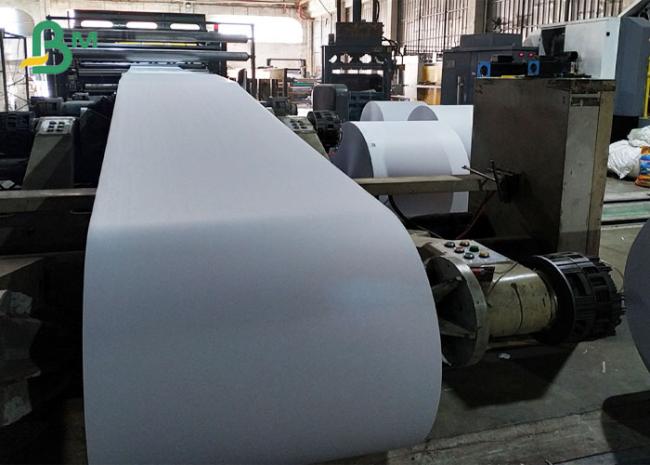 Bmpaper Plant Production Bmpaper Plant Production