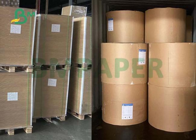 810mm 900mm Foodgrade Safety 240gsm + 15gPE CupStock Paper For Coffee Cups 810mm 900mm Foodgrade Safety 240gsm + 15gPE CupStock Paper For Coffee Cups