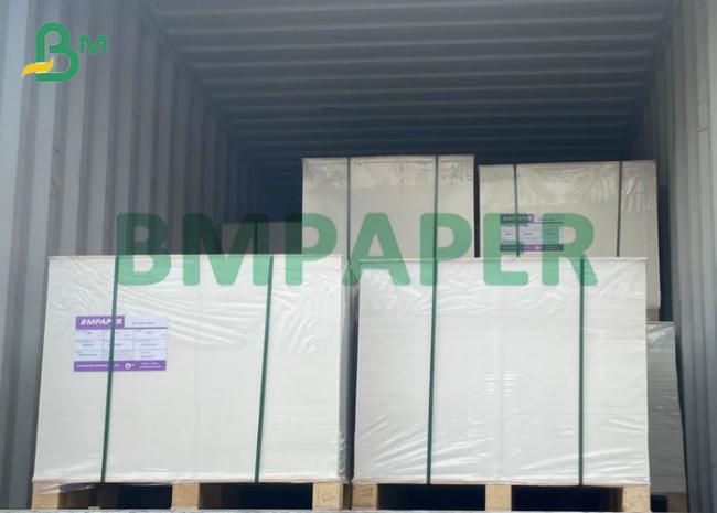 14pt Premiun Glossy Printer Paper Versatile C2S Paper Perfect For Brochures (2) 14pt Premiun Glossy Printer Paper Versatile C2S Paper Perfect For Brochures (2)