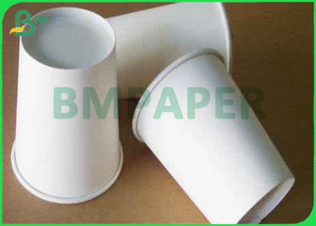 Coated Cup Base Paper Coated Cup Base Paper
