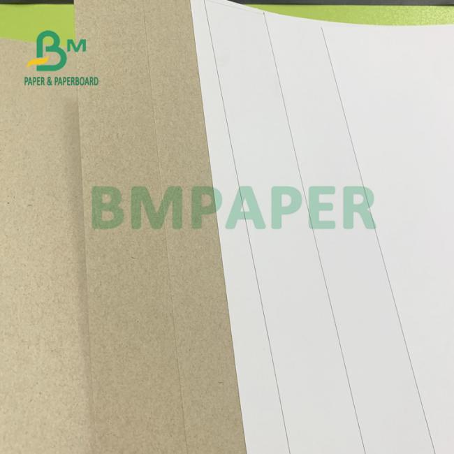 1mm White Duplex Board Grey Back Duplex Board High Rigidity 889mm X 1194mm 1mm White Duplex Board Grey Back Duplex Board High Rigidity 889mm X 1194mm