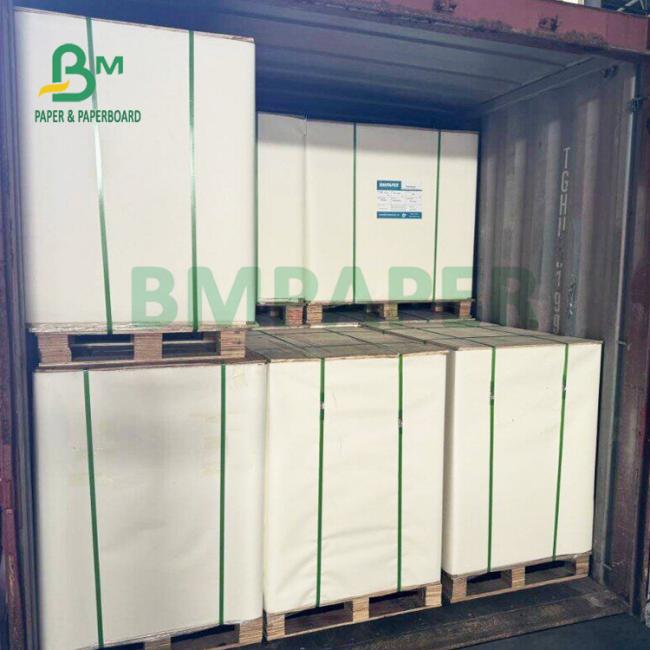 275g + 15g PE Coated Frozen Food Grade Paper For Seafood Package 740 x 1060mm 275g + 15g PE Coated Frozen Food Grade Paper For Seafood Package 740 x 1060mm