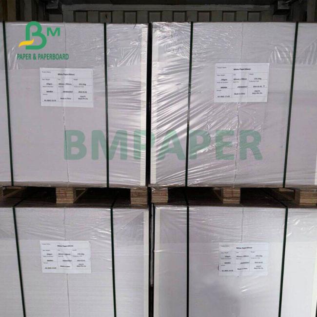 22gsm 28gsm Translucent White Glassine Paper For Food Wrapping Greaseproof 22gsm 28gsm Translucent White Glassine Paper For Food Wrapping Greaseproof