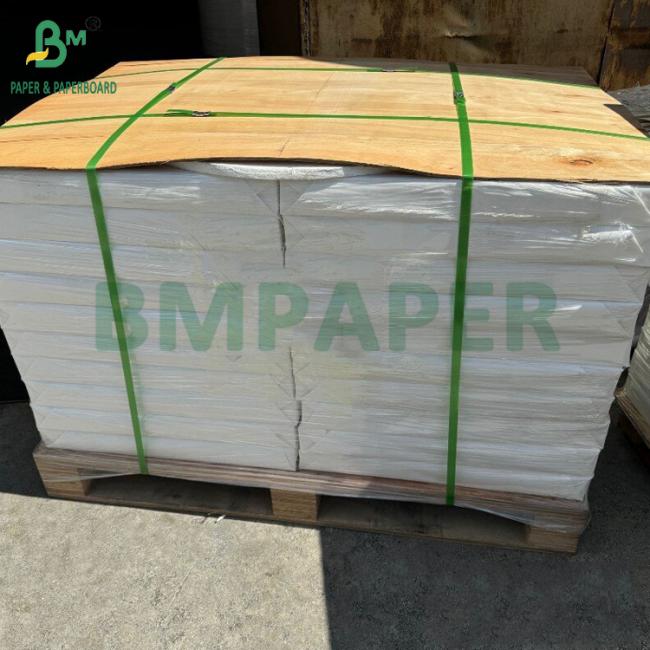 Heat Resistant 150um PET Synthetic Paper For Back - Lit Menus High Density Heat Resistant 150um PET Synthetic Paper For Back - Lit Menus High Density