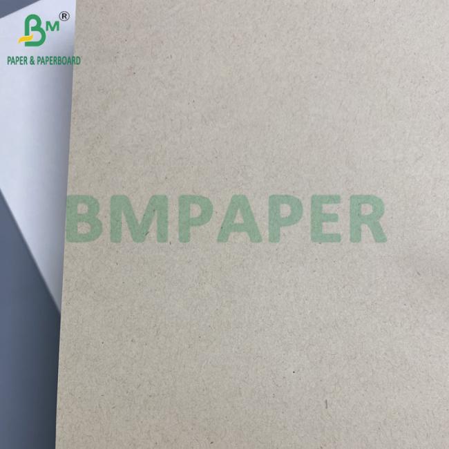 Biodegradable Food-Grade Sugarcane Paper For Disposable Plates 70gsm To 400gsm Biodegradable Food-Grade Sugarcane Paper For Disposable Plates 70gsm To 400gsm