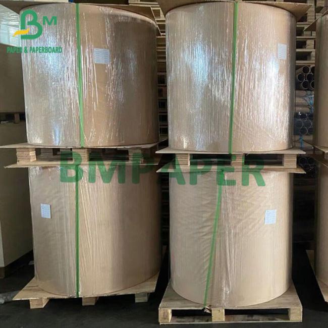 Biodegradable Food-Grade Sugarcane Paper For Disposable Plates 70gsm To 400gsm Biodegradable Food-Grade Sugarcane Paper For Disposable Plates 70gsm To 400gsm