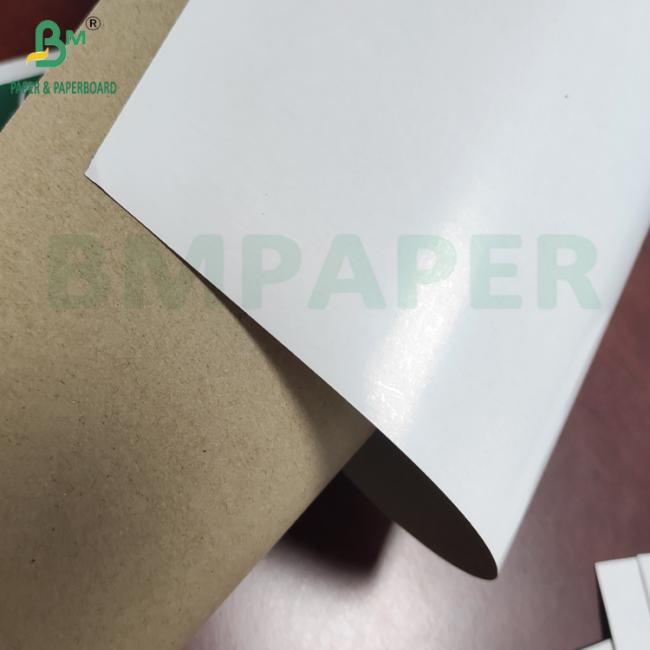 One Side White Coated Superior Strength Kraftliner White Top Paper 140g-220g One Side White Coated Superior Strength Kraftliner White Top Paper 140g-220g