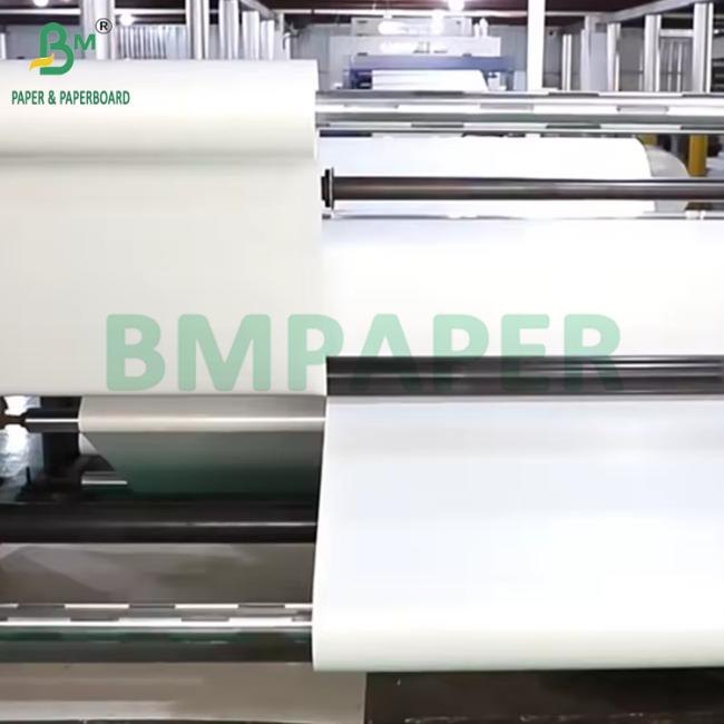 190gsm + 15g PE Coated Cupstock Paper Roll For Hot or Cold Beverage High Bulk 190gsm + 15g PE Coated Cupstock Paper Roll For Hot or Cold Beverage High Bulk
