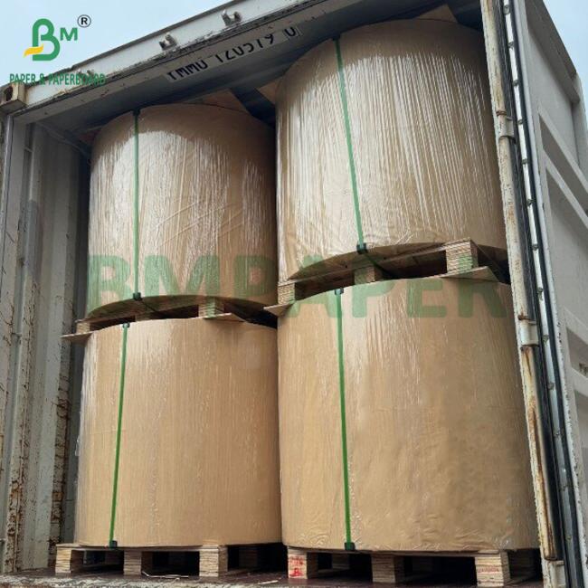 190gsm + 15g PE Coated Cupstock Paper Roll For Hot or Cold Beverage High Bulk 190gsm + 15g PE Coated Cupstock Paper Roll For Hot or Cold Beverage High Bulk