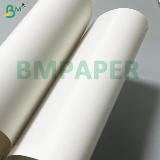 135g 150g White Food Grade Cup Base Paper For Coffee Cup 135g 150g White Food Grade Cup Base Paper For Coffee Cup