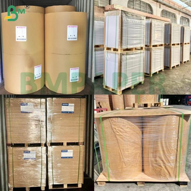 135g 150g White Food Grade Cup Base Paper For Coffee Cup 135g 150g White Food Grade Cup Base Paper For Coffee Cup
