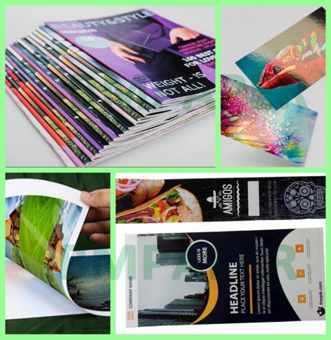 Double - sided Gloss 80lb 120gsm Digital C2S Paper For Brochures 450 x 320mm Double - sided Gloss 80lb 120gsm Digital C2S Paper For Brochures 450 x 320mm