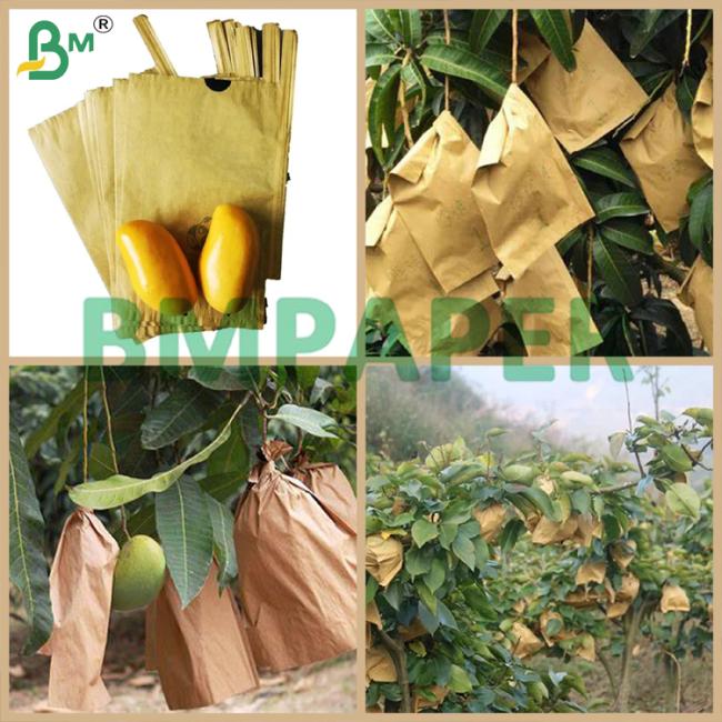 Mango Growing Protection Bag Paper 30gsm Black Paper 55gsm Outer Brown Paper Mango Growing Protection Bag Paper 30gsm Black Paper 55gsm Outer Brown Paper