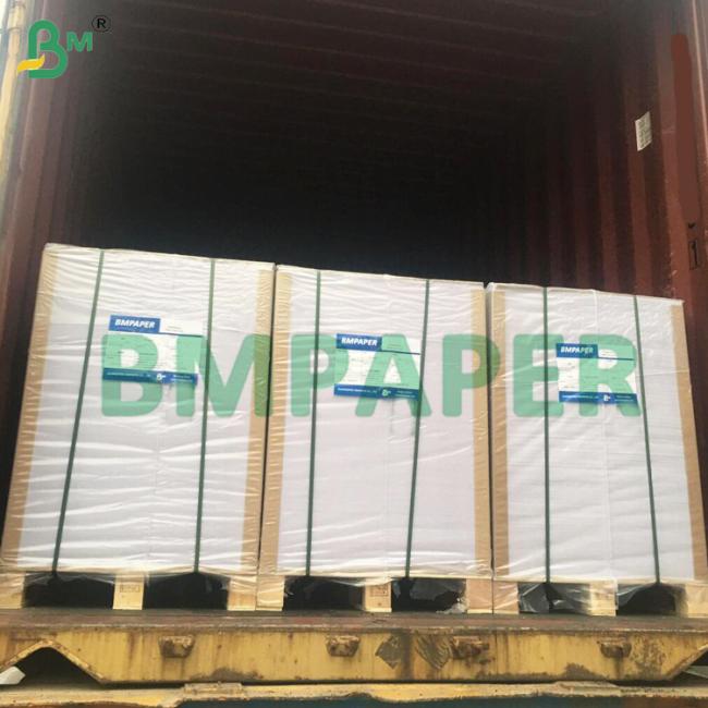 Excellent Stiffness Uncoated Cupstock Base Paper 150 - 250gsm Excellent Stiffness Uncoated Cupstock Base Paper 150 - 250gsm