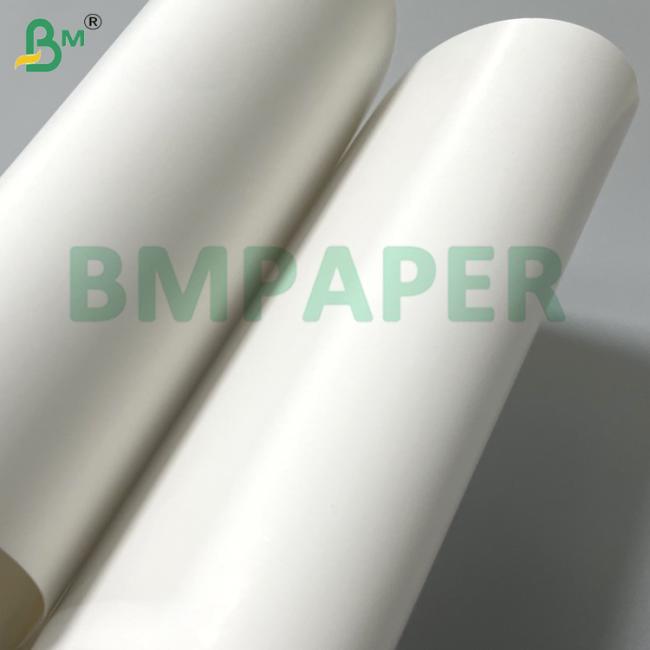 230g 250g PET Coated Paper Roll Heat Resistant Oven / Microwave Safe Waterproof & Greaseproof Food Tray Liner for Fast Food Bakery Takeaway Packaging 230g 250g PET Coated Paper Roll Heat Resistant Oven / Microwave Safe Waterproof & Greaseproof Food Tray Liner for Fast Food Bakery Takeaway Packaging