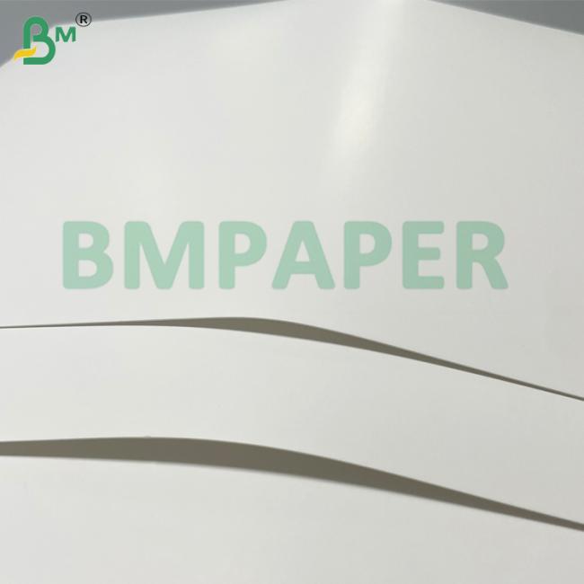 230g 250g PET Coated Paper Roll Heat Resistant Oven / Microwave Safe Waterproof & Greaseproof Food Tray Liner for Fast Food Bakery Takeaway Packaging 230g 250g PET Coated Paper Roll Heat Resistant Oven / Microwave Safe Waterproof & Greaseproof Food Tray Liner for Fast Food Bakery Takeaway Packaging