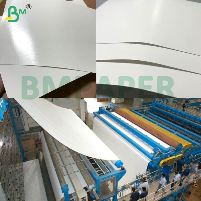 230g 250g PET Coated Paper Roll Heat Resistant Oven / Microwave Safe Waterproof & Greaseproof Food Tray Liner for Fast Food Bakery Takeaway Packaging 230g 250g PET Coated Paper Roll Heat Resistant Oven / Microwave Safe Waterproof & Greaseproof Food Tray Liner for Fast Food Bakery Takeaway Packaging