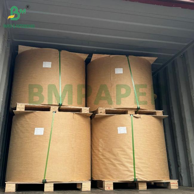 15g PE Coated Waterproof 210gsm 230gsm Cup Stock Paper High Folding 15g PE Coated Waterproof 210gsm 230gsm Cup Stock Paper High Folding