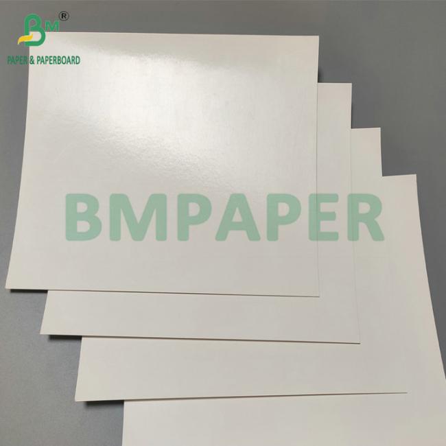 Smooth Surface 290gsm + 15gsm PE SBS Cardboard For Frozen Packaging Box Smooth Surface 290gsm + 15gsm PE SBS Cardboard For Frozen Packaging Box