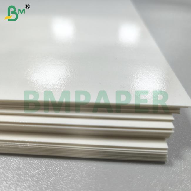 White PET Coating Food Service Paper for Paper Plate Grease Resistant White PET Coating Food Service Paper for Paper Plate Grease Resistant