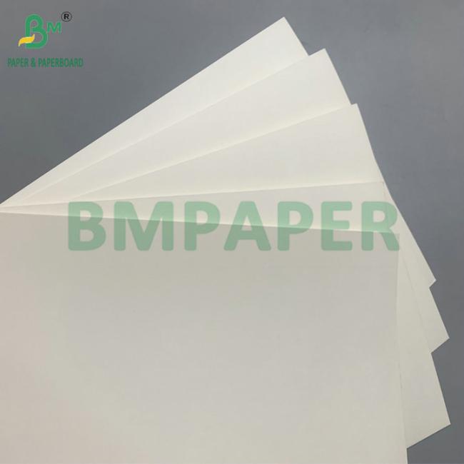 18g PE Coated Waterproof 210gsm Cup Stock Paper For Making Coffee Cup 18g PE Coated Waterproof 210gsm Cup Stock Paper For Making Coffee Cup