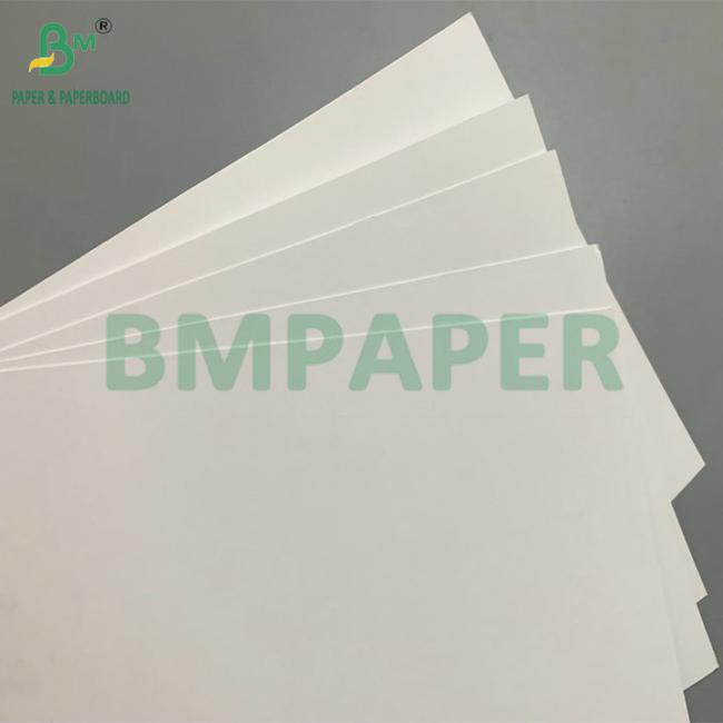 Heat Seal Coating 450g 350g Printable Blister Card For Blister Packaging Heat Seal Coating 450g 350g Printable Blister Card For Blister Packaging