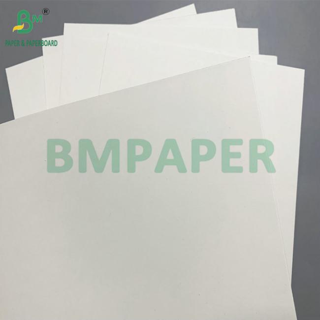 PE Coated 190 - 350gsm Bowl Paper Used for Disposable Paper Bowls PE Coated 190 - 350gsm Bowl Paper Used for Disposable Paper Bowls