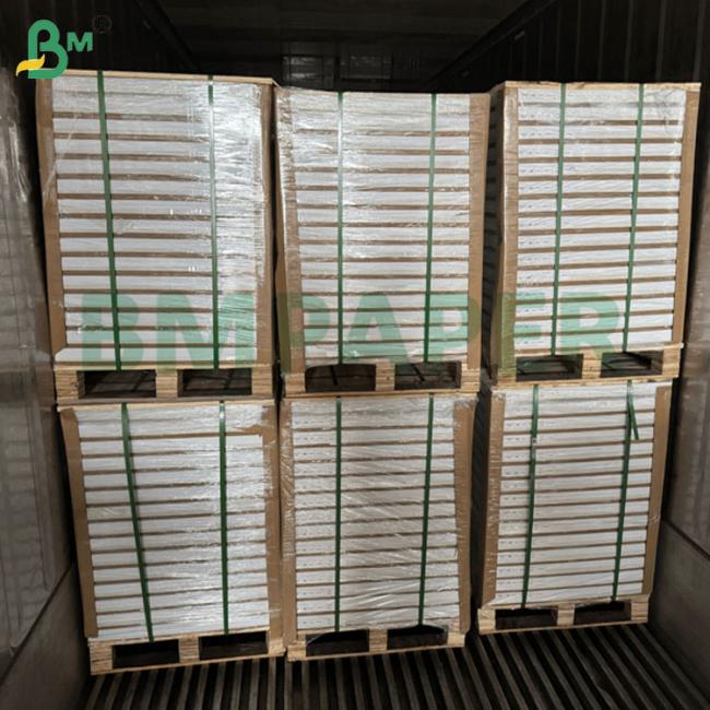 50gsm 54gsm Foodgrade White Brown Coffee Filter Paper 380mm 400mm 50gsm 54gsm Foodgrade White Brown Coffee Filter Paper 380mm 400mm