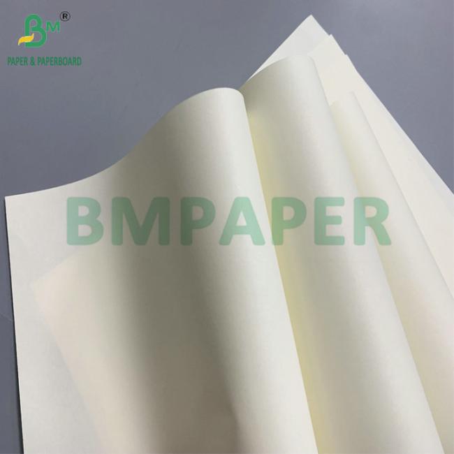 Wood Pulp Eco-Friendly Paper packaging