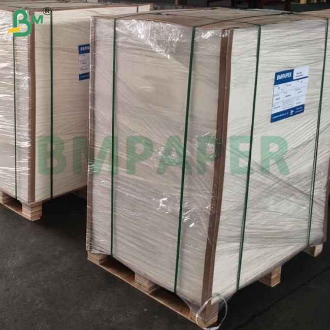 300g 350g SBS Board For Food Container 70 X 100cm Super White C1S Paper Sheets 300g 350g SBS Board For Food Container 70 X 100cm Super White C1S Paper Sheets