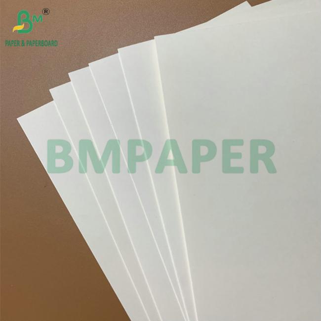 Waterproof & Grease Resistant Food Grade 250-350gsm PE Coated Paper for Disposable Food Trays & Takeout Containers Waterproof & Grease Resistant Food Grade 250-350gsm PE Coated Paper for Disposable Food Trays & Takeout Containers