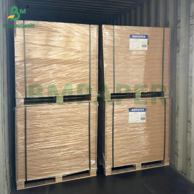 Waterproof & Grease Resistant Food Grade 250-350gsm PE Coated Paper for Disposable Food Trays & Takeout Containers Waterproof & Grease Resistant Food Grade 250-350gsm PE Coated Paper for Disposable Food Trays & Takeout Containers