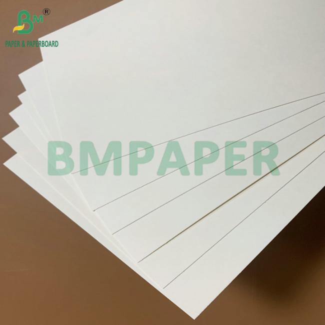 Waterproof & Grease Resistant Food Grade 250-350gsm PE Coated Paper for Disposable Food Trays & Takeout Containers Waterproof & Grease Resistant Food Grade 250-350gsm PE Coated Paper for Disposable Food Trays & Takeout Containers
