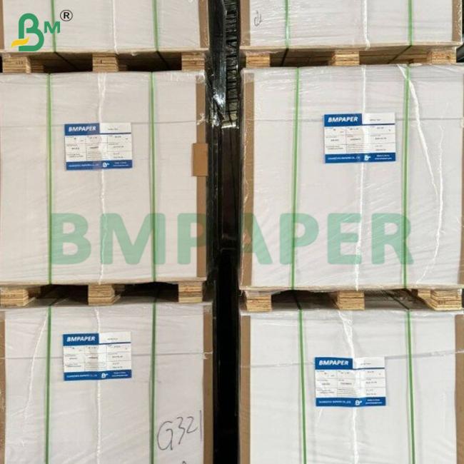 350gsm+10gsm PE Coated Kraft Bowl/Plate Paper Rolls Food Grade 350gsm+10gsm PE Coated Kraft Bowl/Plate Paper Rolls Food Grade
