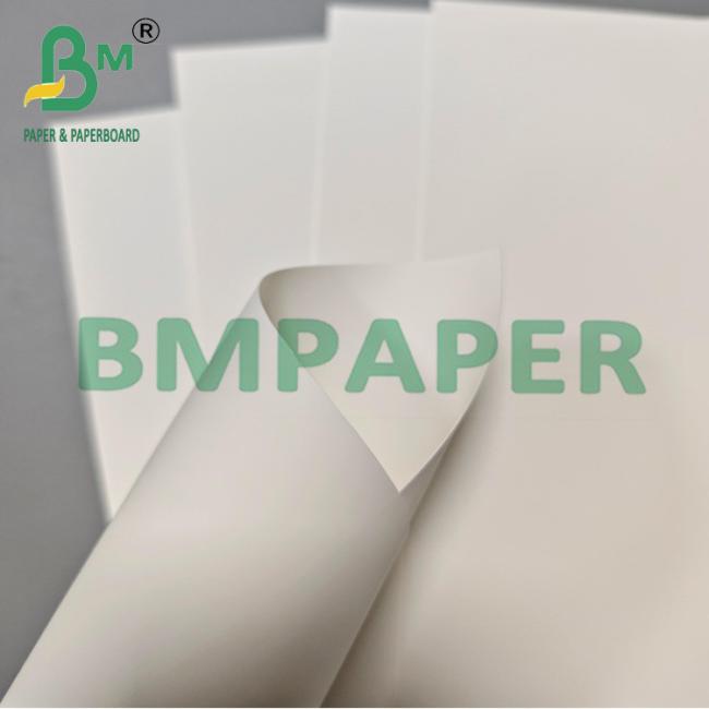 200um A4 A3 Waterproof PET Synthetic Paper For Laser Printing 200um A4 A3 Waterproof PET Synthetic Paper For Laser Printing