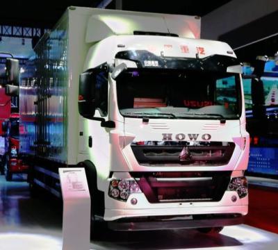 China SINOTRUK HOWO 4X2 290HP Cargo Transport Truck 8-20 Ton Euro II Emission Standard for sale