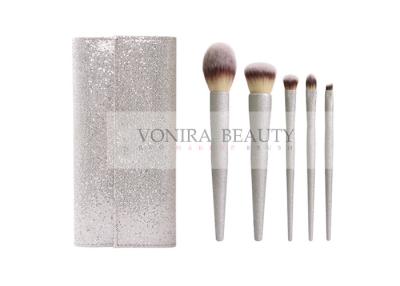 China Shiny Silver Handle Synthetic Makeup Brushes Stylish Brush Case Involved for sale