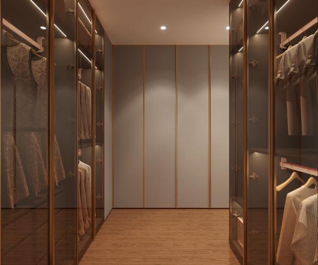 Steel Elegance Modern Gray Walk-In Closet With Gold Accents - interior organization