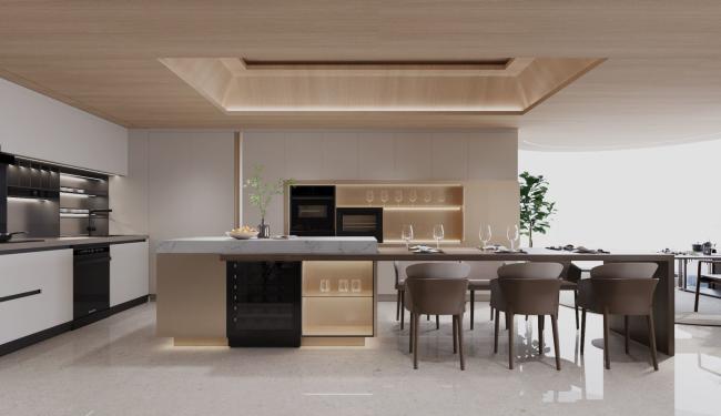 Luxury Stainless Steel Modern Kitchen Cabinet With Sustainable Design Functionality And Elegance - Details with room context