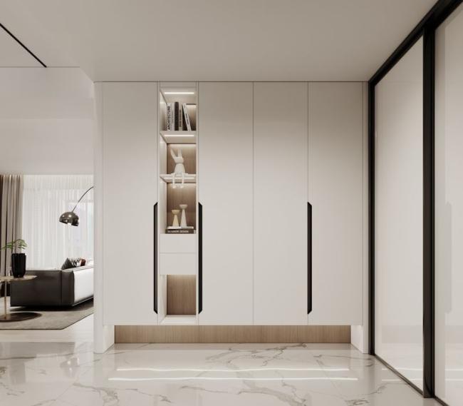 Minimalist Design Stainless Steel Shoe Cabinet With Elegant Storage - Wood Grain / White with shoe cabinet overview
