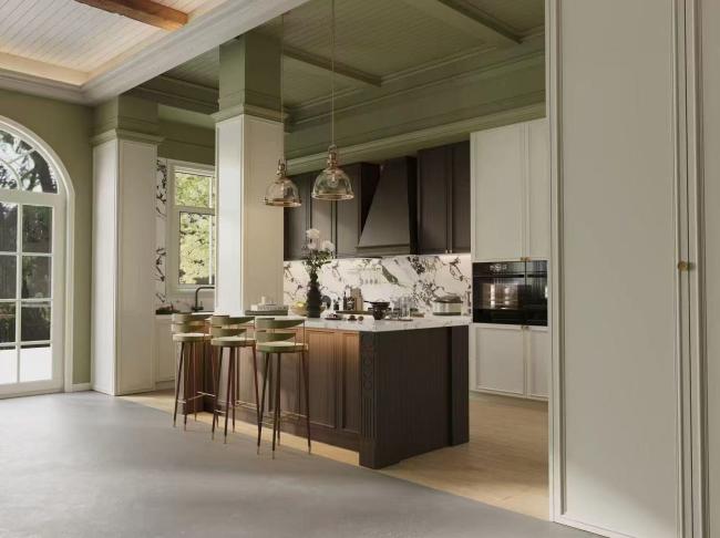 Fadior French Duotone Elegance: White & Black Stainless Steel Kitchen with Softwood Accents - kitchen cabinet overview