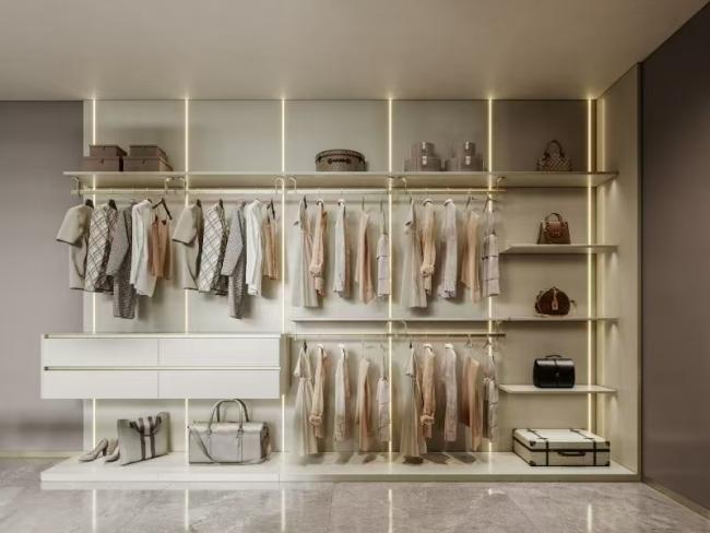 Fadior Walk-in Closet Open Layout Seamless Storage Stainless Steel Elegance Stainless Steel - White / Champagne with wardrobe overview