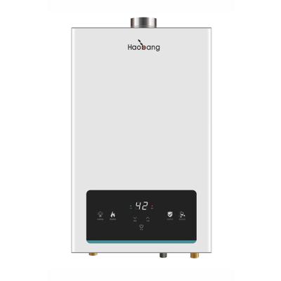 China 220V 10L 16KW Constant Temperature Gas Water Heater White Homeland for sale